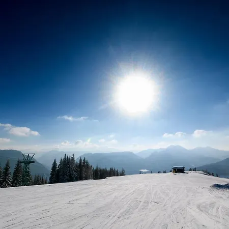 Gasthof Zum Jaegerwirt 3* Mariazell