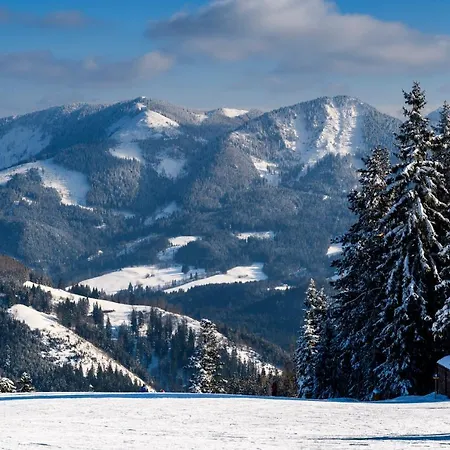 Gasthof Zum Jaegerwirt Guest house 3*
