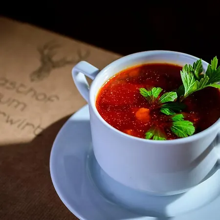 Gasthuis Zum Jaegerwirt Mariazell