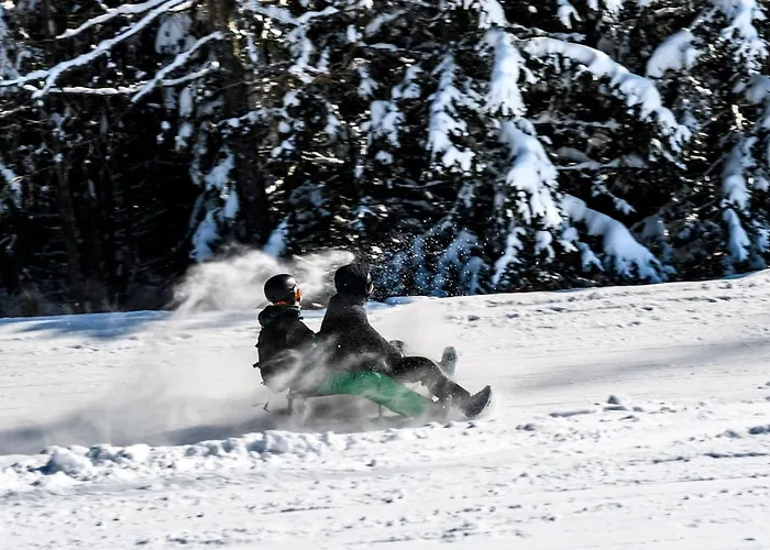 招待所 Zum Jaegerwirt 3*